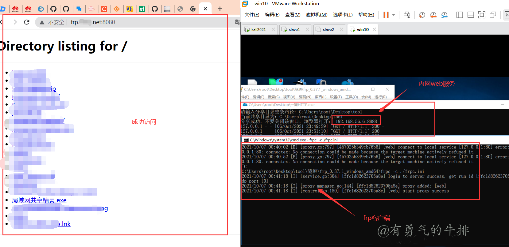 frp内网web访问