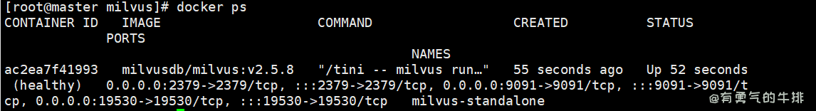 Milvus容器查看
