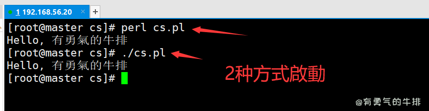 运行perl脚本