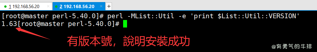 检查 Perl模块
