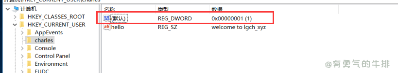 reg add hkcu\charles /ve /t REG_DWORD /d 1