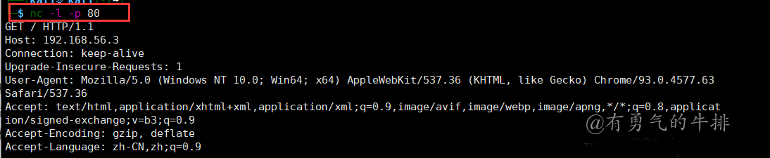 netcat监听端口